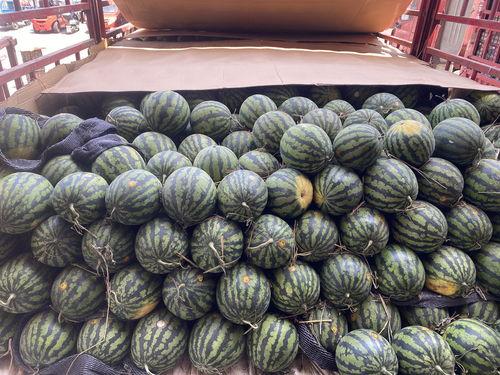 浙江温州吃瓜,品味江南美食风情