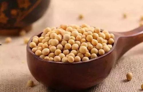 吃瓜的黄豆,吃瓜群众的智慧结晶