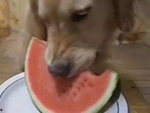 吃瓜本呱,揭秘娱乐圈那些不为人知的幕后故事