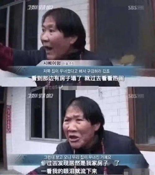 租客吃瓜,揭秘租房市场的那些事儿