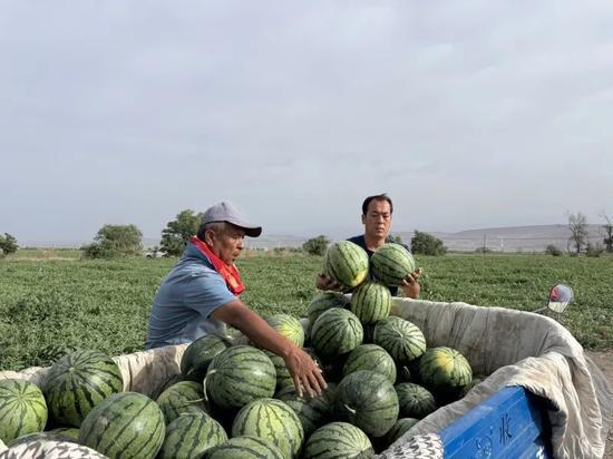 汕头海门吃瓜新闻,一场引发热议的网络狂欢