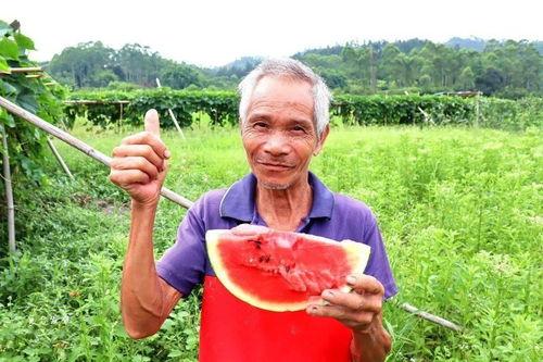 红叔吃瓜,揭秘娱乐圈背后的那些事儿