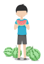 正确党吃瓜群众,揭秘新时代下的网络舆论场