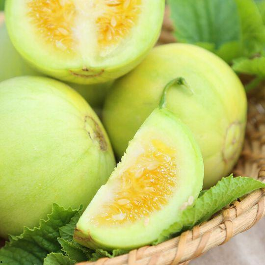 砀山官庄吃瓜,夏日炎炎，瓜香四溢的乡村食趣之旅