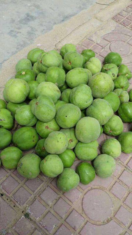 吃瓜小豆豆,揭秘娱乐圈那些不为人知的幕后故事