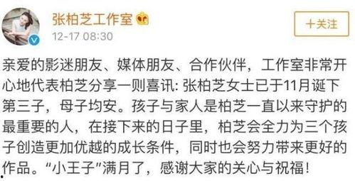 吃瓜留子的道理,揭秘娱乐圈背后的真相与智慧