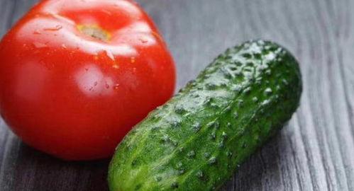 吃瓜吃番茄,探寻吃瓜吃番茄的独特魅力