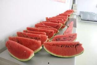 shui东街吃瓜,一场别开生面的吃瓜盛宴