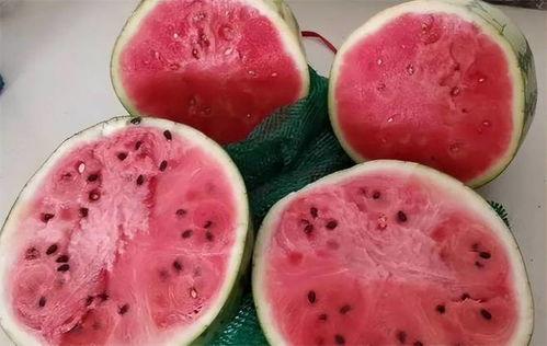 北京麒麟瓜怎么吃,解锁夏日清新美味