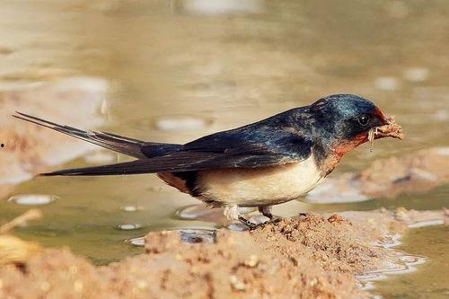 燕燕子吃瓜,揭秘娱乐圈背后的那些事儿