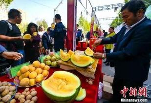 中国人吃瓜历史,中国吃瓜历史的演变与传承